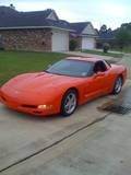 Vette