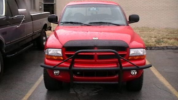 new deer catcher 001