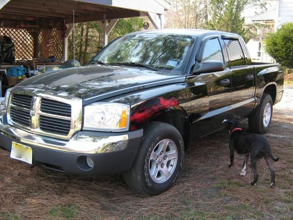 My gorgeous girl! (and one of my pups Sox thinking he's going for a ride in "his" truck lol)
