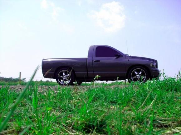 Hemi
