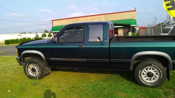 Fresh Tint! 35% sides 18% Back