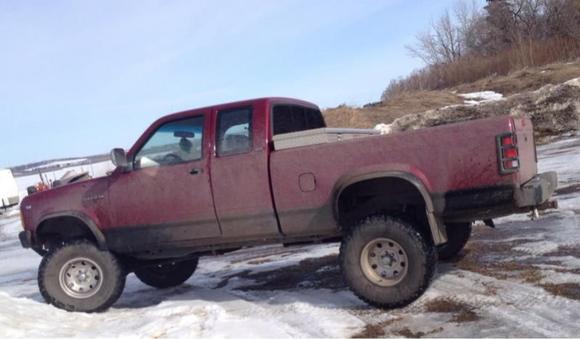 New 33's