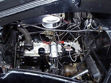 218 flathead 6