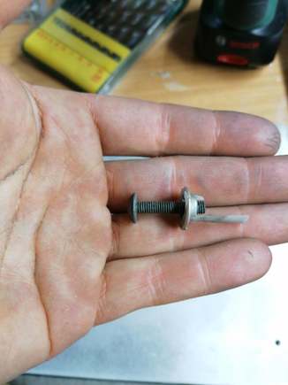 The rest of the Dowel