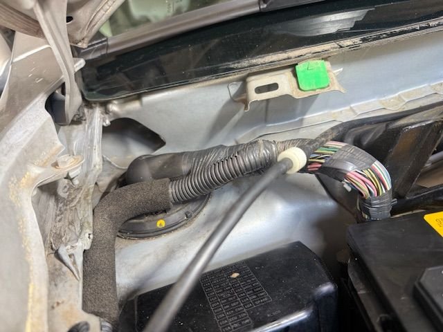 Wiring close to the fender and wrapped in foam was soaked
