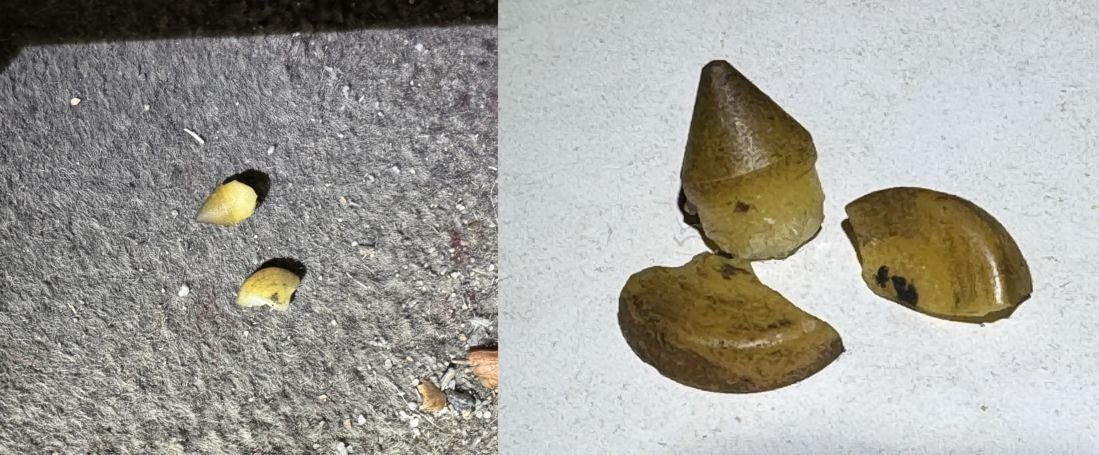 Fragments found on the floor and closeup