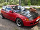 EDM EG6