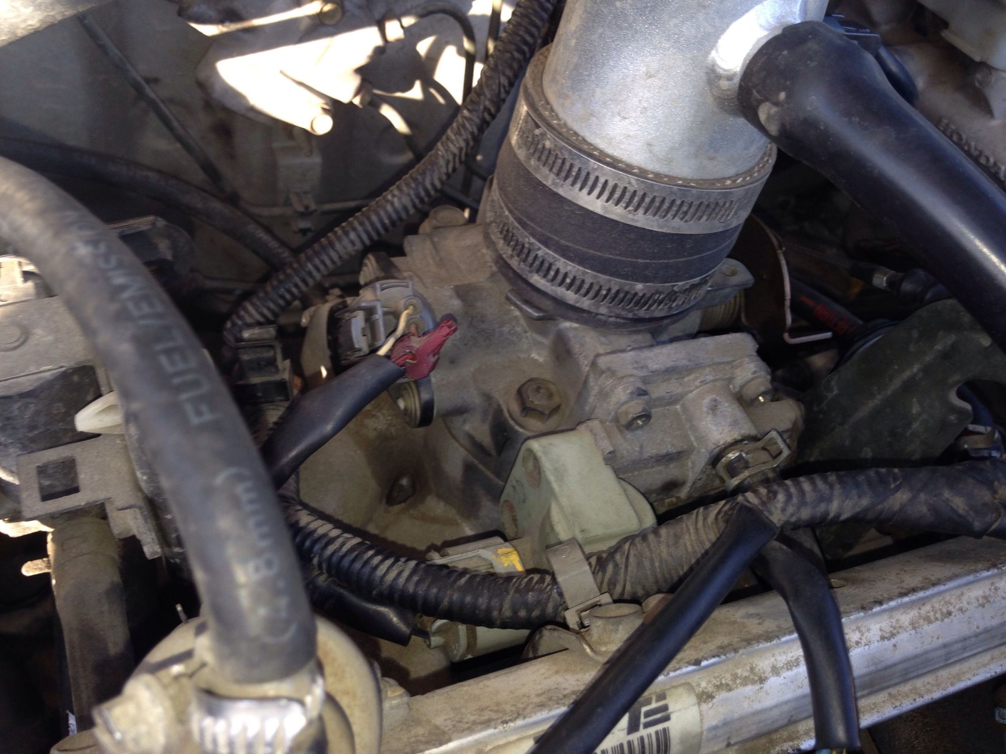 96 Honda Civic Obd2 Ecu Wiring Diagram