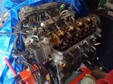 Started teardown on the d15b. New timing belt, Tensioner and water pump will be in soon.