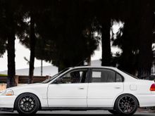 My Post Pictures