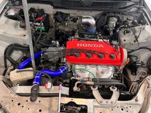 A good cleaning. She doesn’t even leak oil! I need to RTV the thermostat housing and flush coolant. But all there. Some bent. All there. I hope to get the AC going. All maintenance looked done. Even timing belt. Radiator and hoses were already on the car. I wrinkled red the valve cover and sprayed the manifold cover because I had extra materials laying around.
