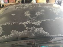 Daily driver roof before paint