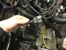 Can anybody identify this plug? its attached to my chassis and runs up under the headlight