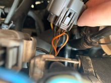 Connector from wiring harness to the distributor plug