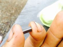 Also found this in the pan. What is it?