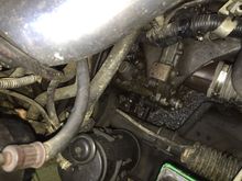 The speed sensor is just drenched in oil, I can't tell if the sensor is leaking or if it's just settling there, but I'll replace the sensor seal. Anyone know where to get that?