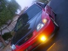 pic of the hatch
