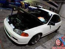 Hot Import Nights 2007 Photo