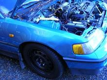 1991 Honda CRX Si