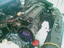 b20 before rebuild