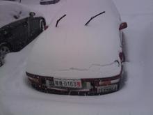 IMAG0051