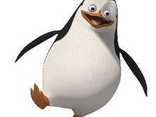 penguins2