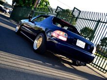 Back Shot.