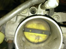 Throttle body missing idle adjustment screw.