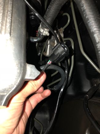 This might be IACV with white/red and white/green but do not match factory wire colors. The plug is the same as factory IACV. 