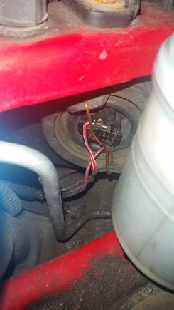 Thats the plug and my wire that is kind of holding it on (dont worry its not touching anything so its not going to short it.  Its almost as if the connection has gotten loose over time.