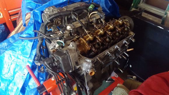Started teardown on the d15b. New timing belt, Tensioner and water pump will be in soon.