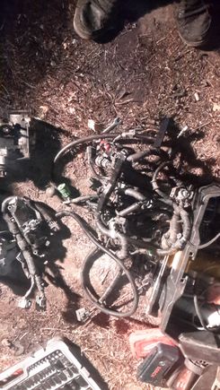 Oh snap! Vtec engine harness