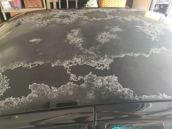 Daily driver roof before paint