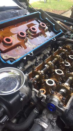 Valve adjustment and a little “bling”