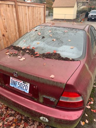 The was days before it was shipped back to the north east.