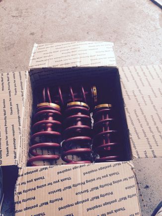 Groung controls. Thanks again racejunke13!