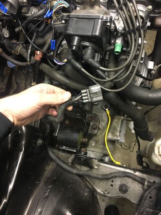 Can anybody identify this plug? its attached to my chassis and runs up under the headlight