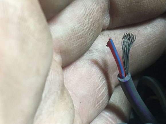 Wire that I found cut...this is from the main chassis loom (coming from the passenger side firewall under battery towards 4 passenger shock tower grey plugs.