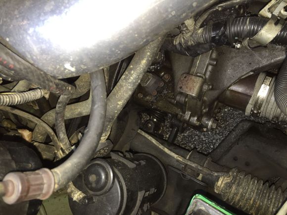 The speed sensor is just drenched in oil, I can't tell if the sensor is leaking or if it's just settling there, but I'll replace the sensor seal. Anyone know where to get that?