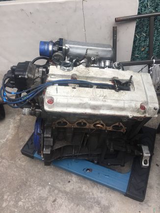 Scored a clean running Jdm gsr