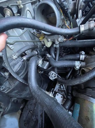 close up of heater hoses