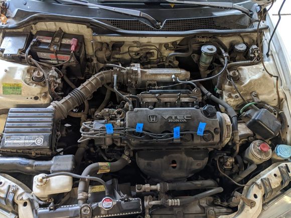 Engine bay before I detailed it (and painted the valve cover yellow)