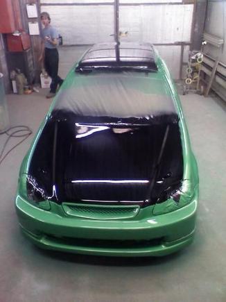 fresh paint 1