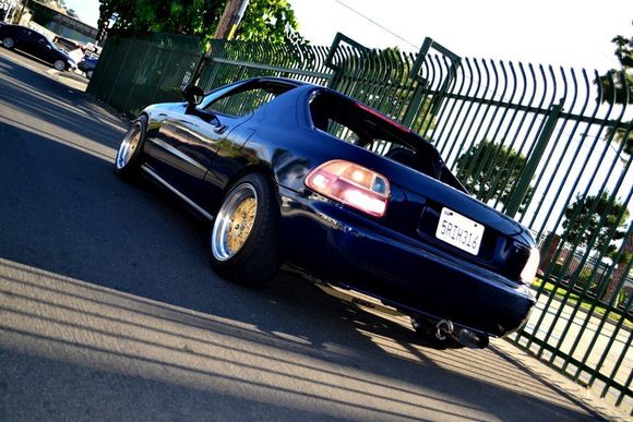 Back Shot.