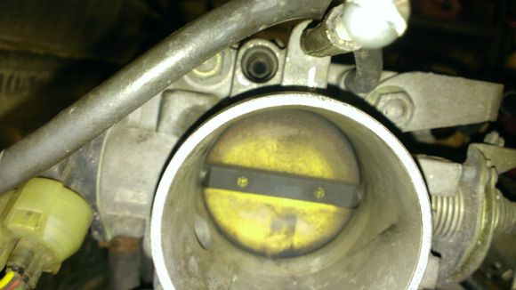 Throttle body missing idle adjustment screw.