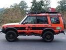The Disco