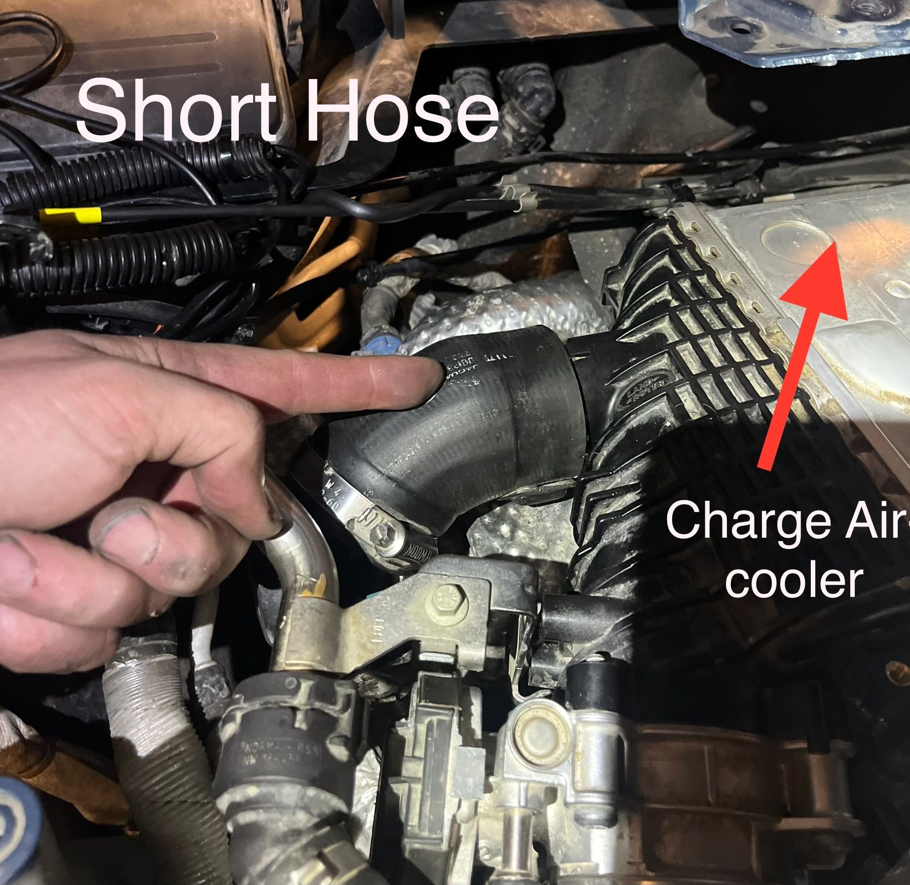 This hose was a nightmare to remove and reattach