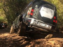 a Pangea Green tripod