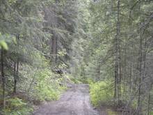 With all the rain we have had everything is green, the trail to lunch