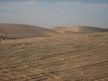 glamis dunes